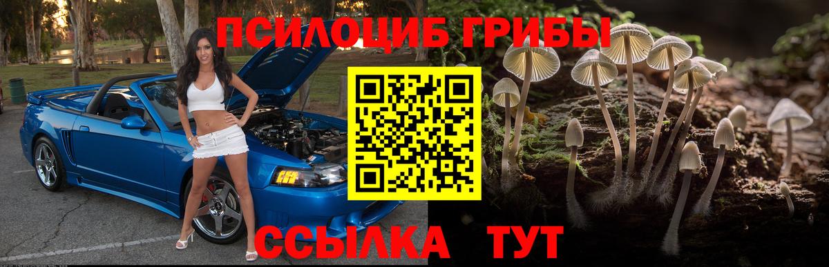 Псилоцибиновые грибы прущие грибы Кстово